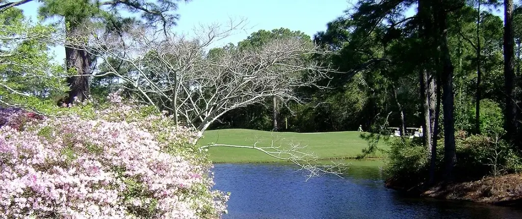 Gulf Shores Golf Club - Gulf Shores, AL