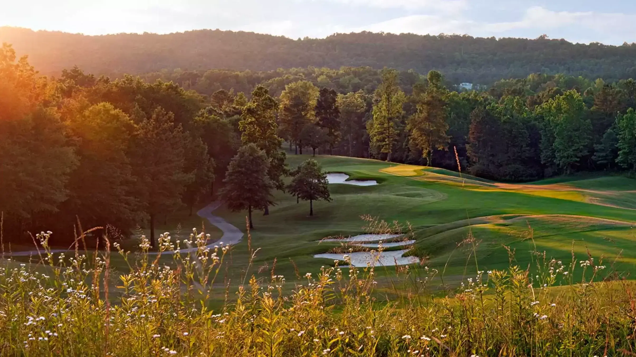 RTJ Golf Oxmoor Valley - Birmingham, AL