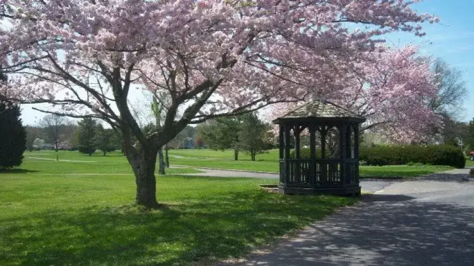 Ocean City Golf Club - Berlin, Maryland